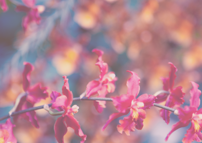 轰炸短信信息软件免费版